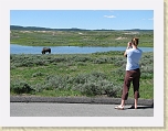 Wyoming2008 464 * Bison * Bison * 2816 x 2112 * (2.63MB)